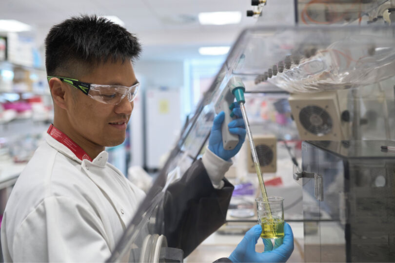 Male student working in lab